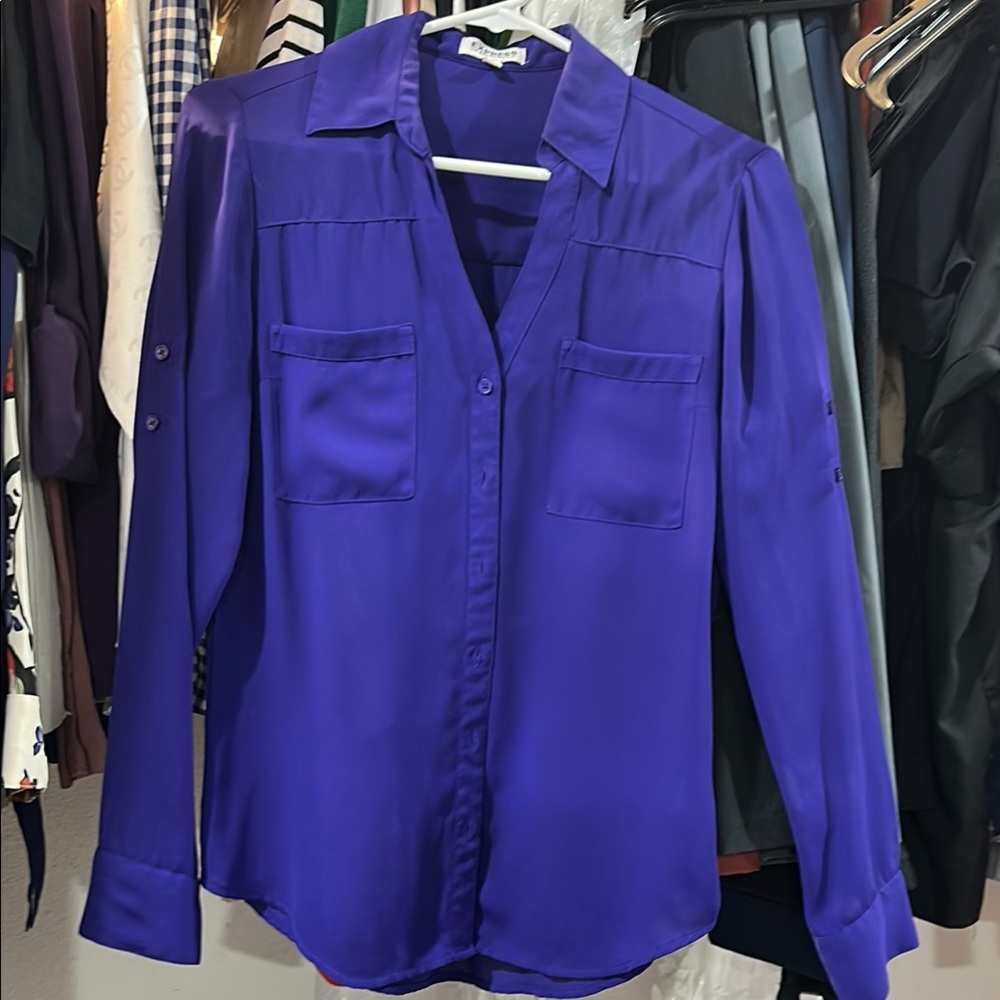 Express Blue Long Sleeve Button Down Blouse